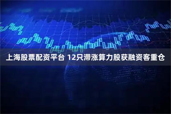 上海股票配资平台 12只滞涨算力股获融资客重仓